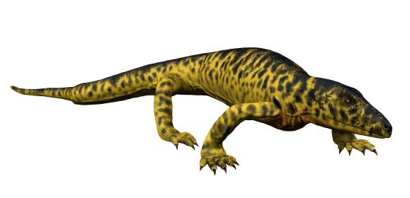 Mycterosaurus longiceps