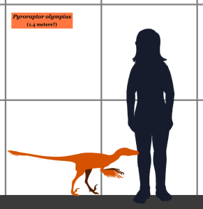 Pyroraptor Dinosaur Egg Shell