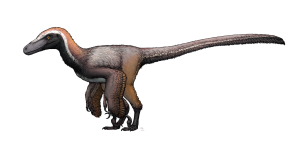 Pyroraptor Dinosaur Egg