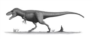 Daspletosaurus Dinosaur