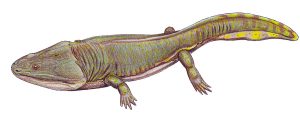 Koskinonodon Metoposaurus