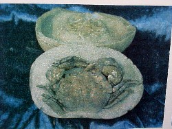 Both the top and bottom halves of the fossil Coeloma Crab nodule are complete now