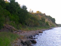Beach in Denmark where Coeloma Crab Nodules are found