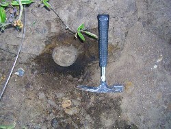 Fossil Coeloma Crab nodule found on the beach