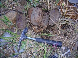 Nodule that was cracked open to see if there was a fossil Coeloma Crab inside