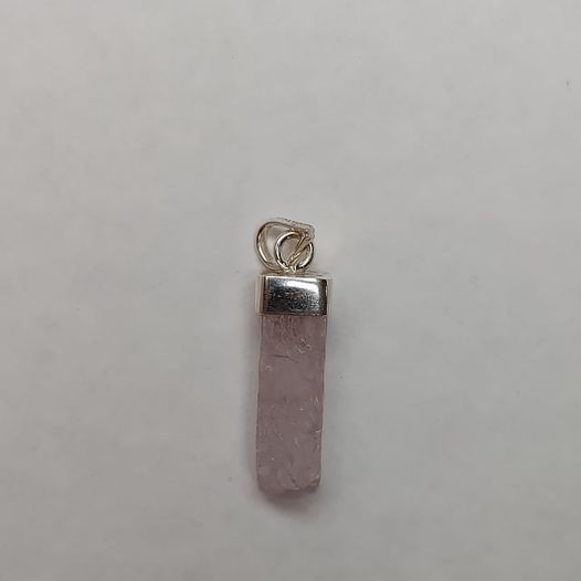 202327792_10226637690595118_6662622075936734062_n.jpg | Fossils for Sale