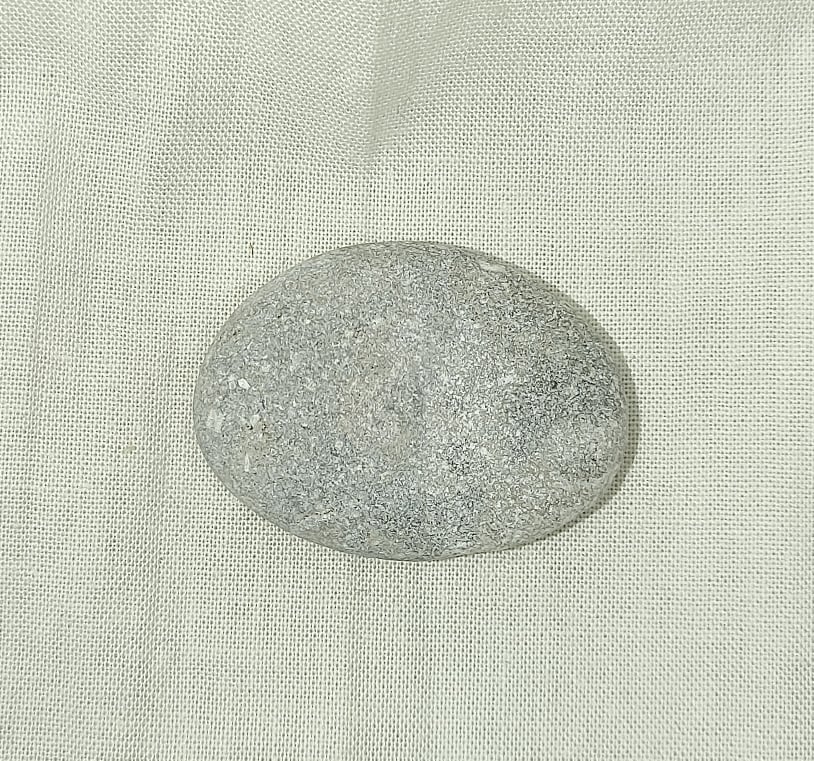 217102215_558746865137481_6587281521617806566_n.jpg | Fossils for Sale