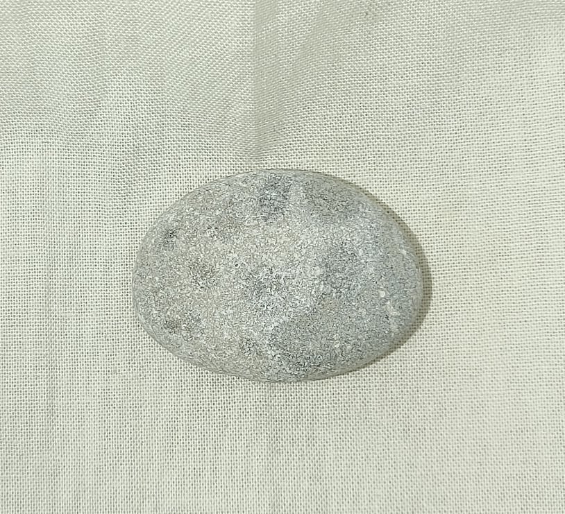 218245089_534459630933106_5395580493688975714_n.jpg | Fossils for Sale