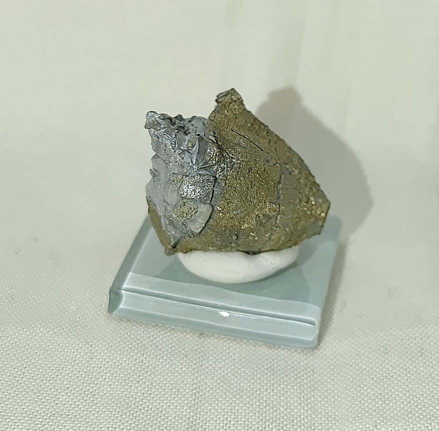 218334360_2891292424427020_225846281850711543_n-1.jpg | Fossils for Sale