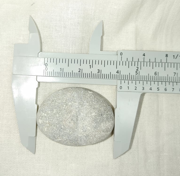 218405234_190804859667585_4710831191641175498_n.jpg | Fossils for Sale