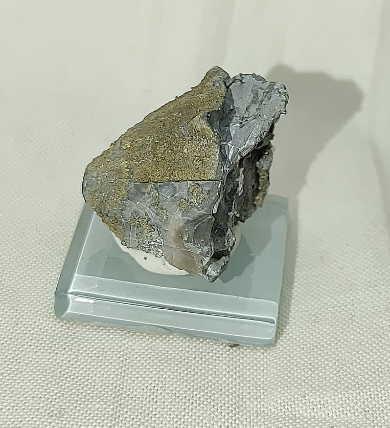 219002403_527123225204532_992992030252629987_n.jpg | Fossils for Sale