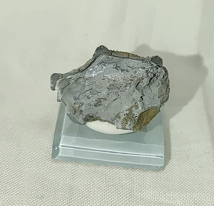 219230684_333917468277128_3374032188523404159_n.jpg | Fossils for Sale