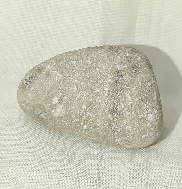 Petoskey Stone #12