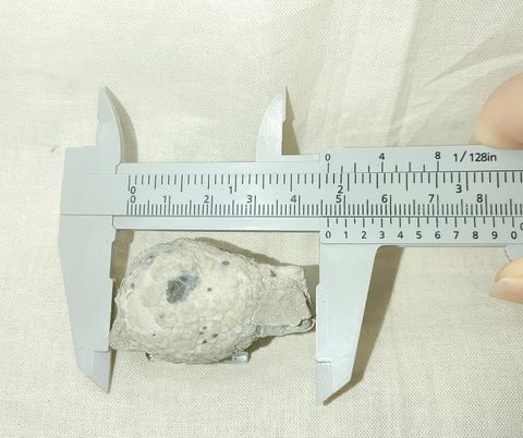 225636294_824165904923455_795571531045081380_n.jpg | Fossils for Sale