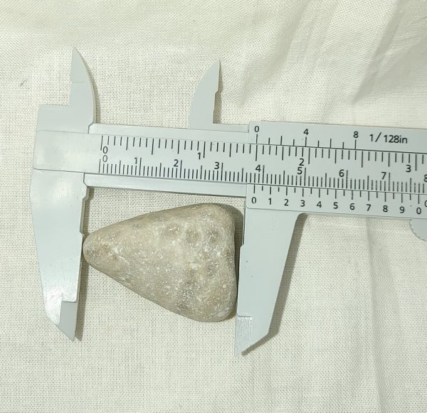 Petoskey Stone #12 - Image 3