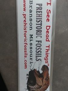 Prehistoric Fossils Bumper Stickers