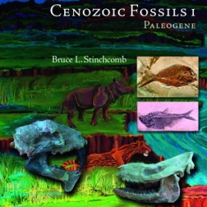 Cenozoic Fossils 1: Paleogene Book For Sale