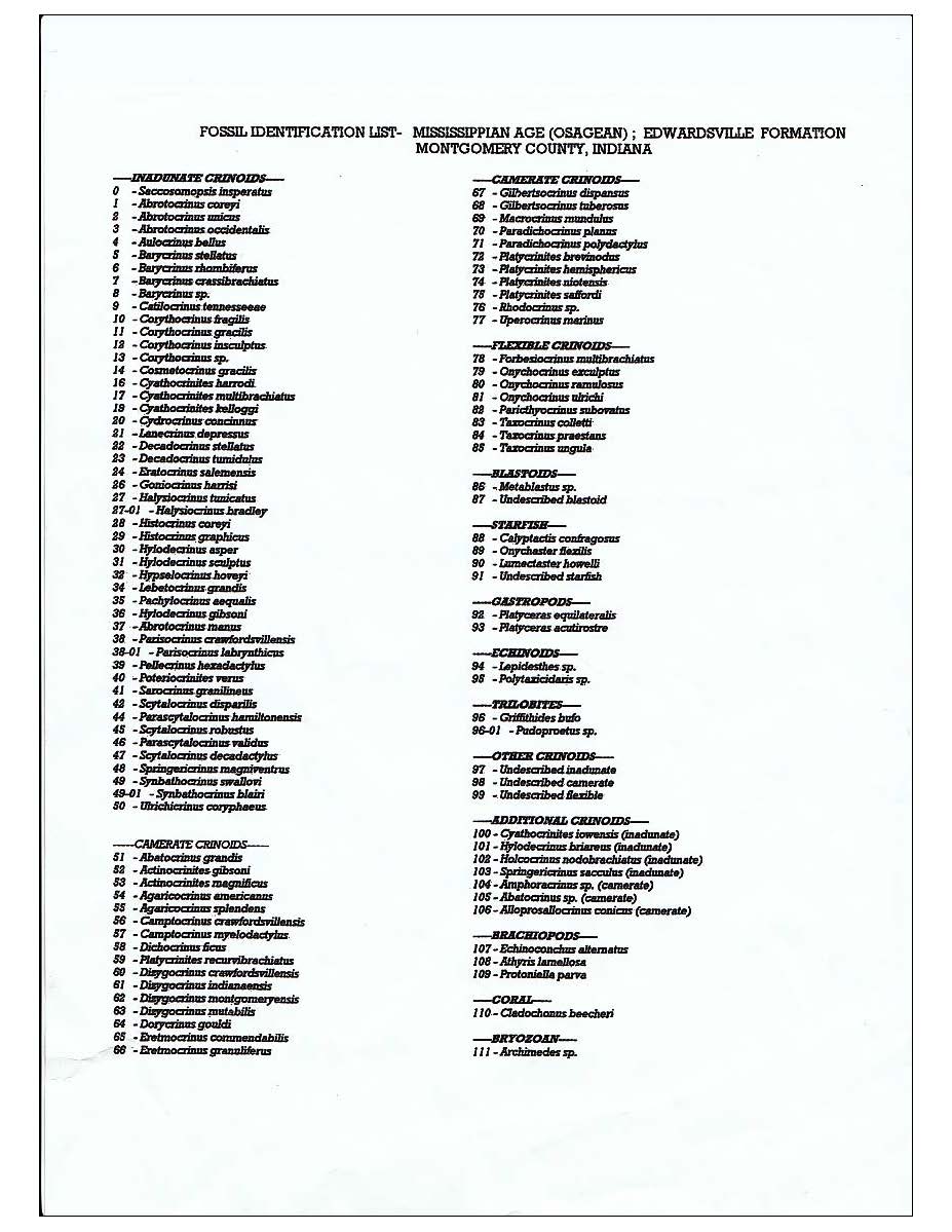 Crawfordsville-Crinoid-List.jpg | Fossils for Sale