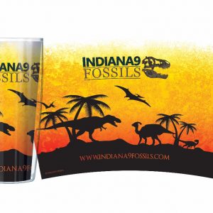 Indiana9 Cretaceous Sunset Tumbler For Sale