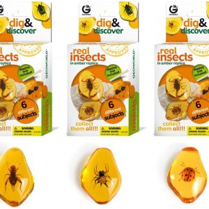 Dig & Discover Real Insects Excavation Kit For Sale