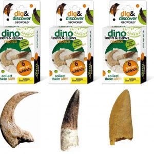 Dig & Discover Teeth & Claw Replica Excavation Kit For Sale