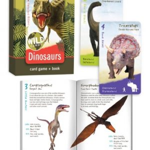 Dinosaur Card Game and Book For Sale