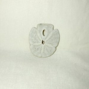 Encope tamiamiensis #11