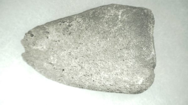 Pleistocene Giant Tortoise Spur #5 - Image 2