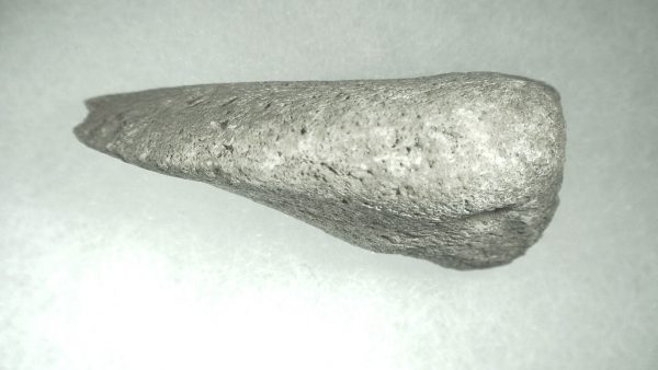 Pleistocene Giant Tortoise Spur #5 - Image 5