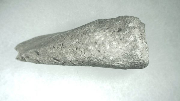 Pleistocene Giant Tortoise Spur #5 - Image 3