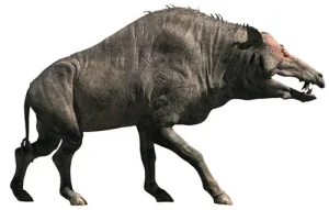 Tetraconodon Pig