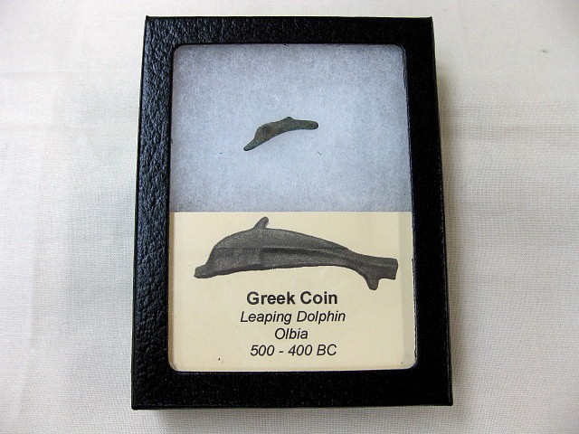 Greek-Leaping-Dolphin-Coin-10.jpg | Fossils for Sale Genuine 500 – 400 BC in Age Ancient Greek Dolphin Coin From Olbia For Sale #10
