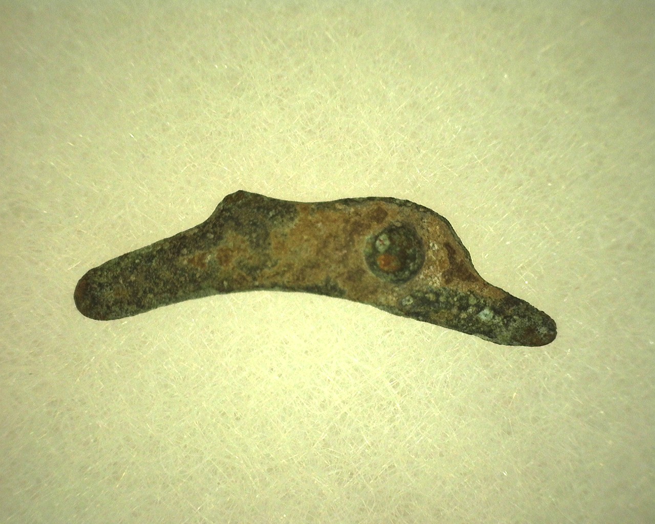 Greek-Leaping-Dolphin-Coin-10a.jpg | Fossils for Sale Genuine 500 – 400 BC in Age Ancient Greek Dolphin Coin From Olbia For Sale #10a