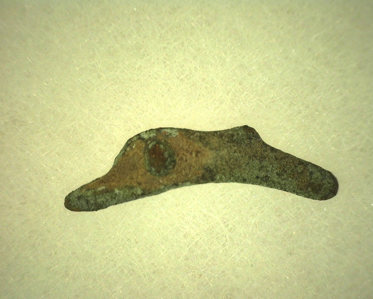 Greek-Leaping-Dolphin-Coin-10b.jpg | Fossils for Sale Genuine 500 – 400 BC in Age Ancient Greek Dolphin Coin From Olbia For Sale #10b