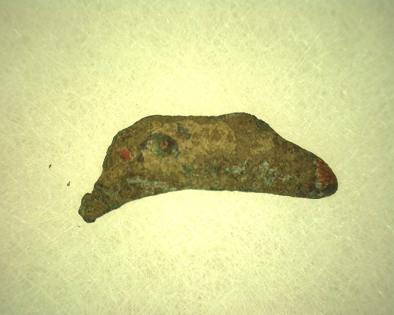 Greek-Leaping-Dolphin-Coin-12a.jpg | Fossils for Sale Genuine 500 – 400 BC in Age Ancient Greek Dolphin Coin From Olbia For Sale #12a