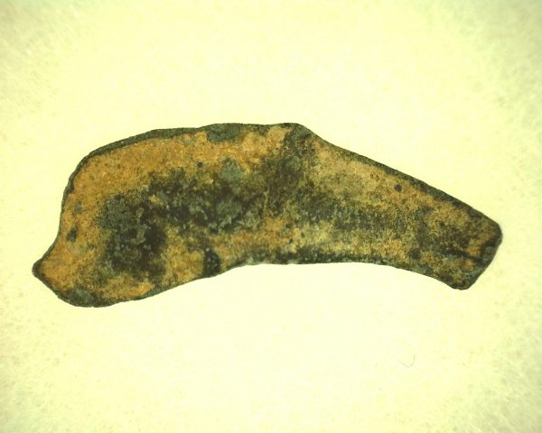 Genuine 500 – 400 BC in Age Ancient Greek Dolphin Coin From Olbia For Sale #18a