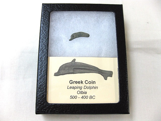 Greek-Leaping-Dolphin-Coin-19.jpg | Fossils for Sale Genuine 500 – 400 BC in Age Ancient Greek Dolphin Coin From Olbia For Sale #19