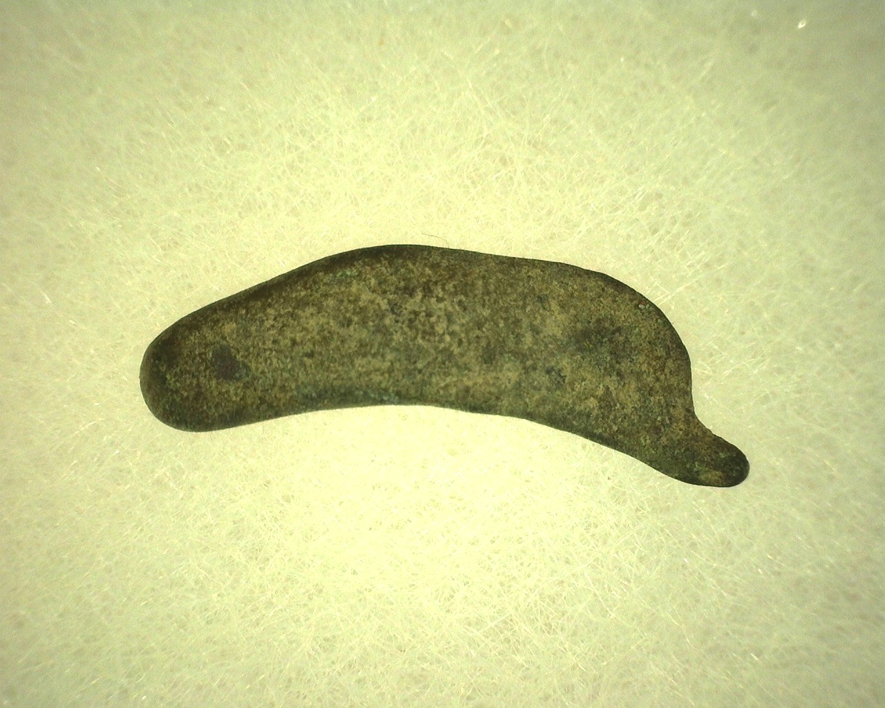 Greek-Leaping-Dolphin-Coin-19a.jpg | Fossils for Sale Genuine 500 – 400 BC in Age Ancient Greek Dolphin Coin From Olbia For Sale #19a