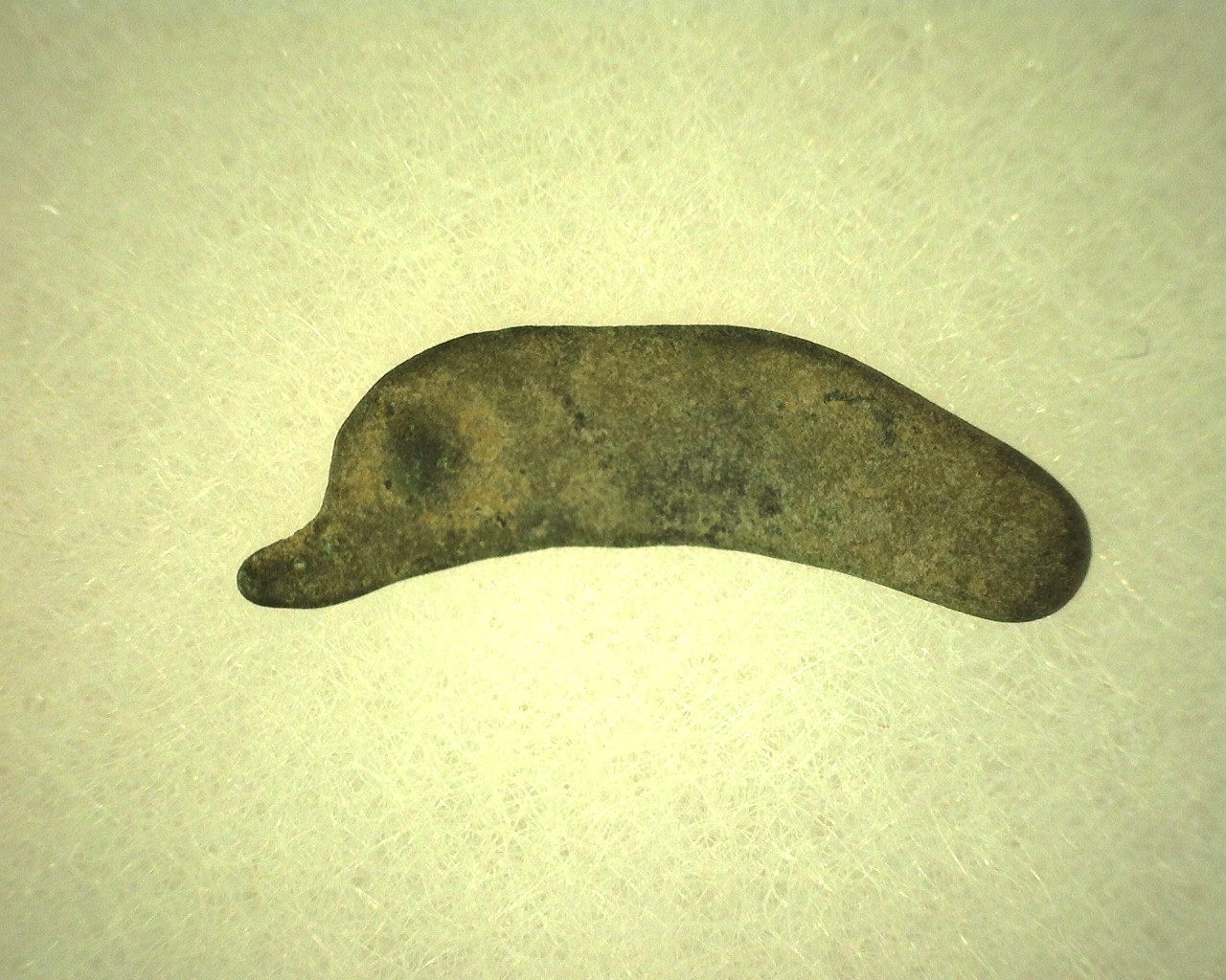 Greek-Leaping-Dolphin-Coin-19b.jpg | Fossils for Sale Genuine 500 – 400 BC in Age Ancient Greek Dolphin Coin From Olbia For Sale #19b