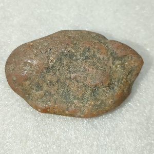 Large Dinosaur Gastrolith “Gizzard Stone” #11