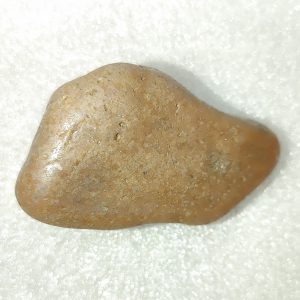 Large Dinosaur Gastrolith “Gizzard Stone” #7