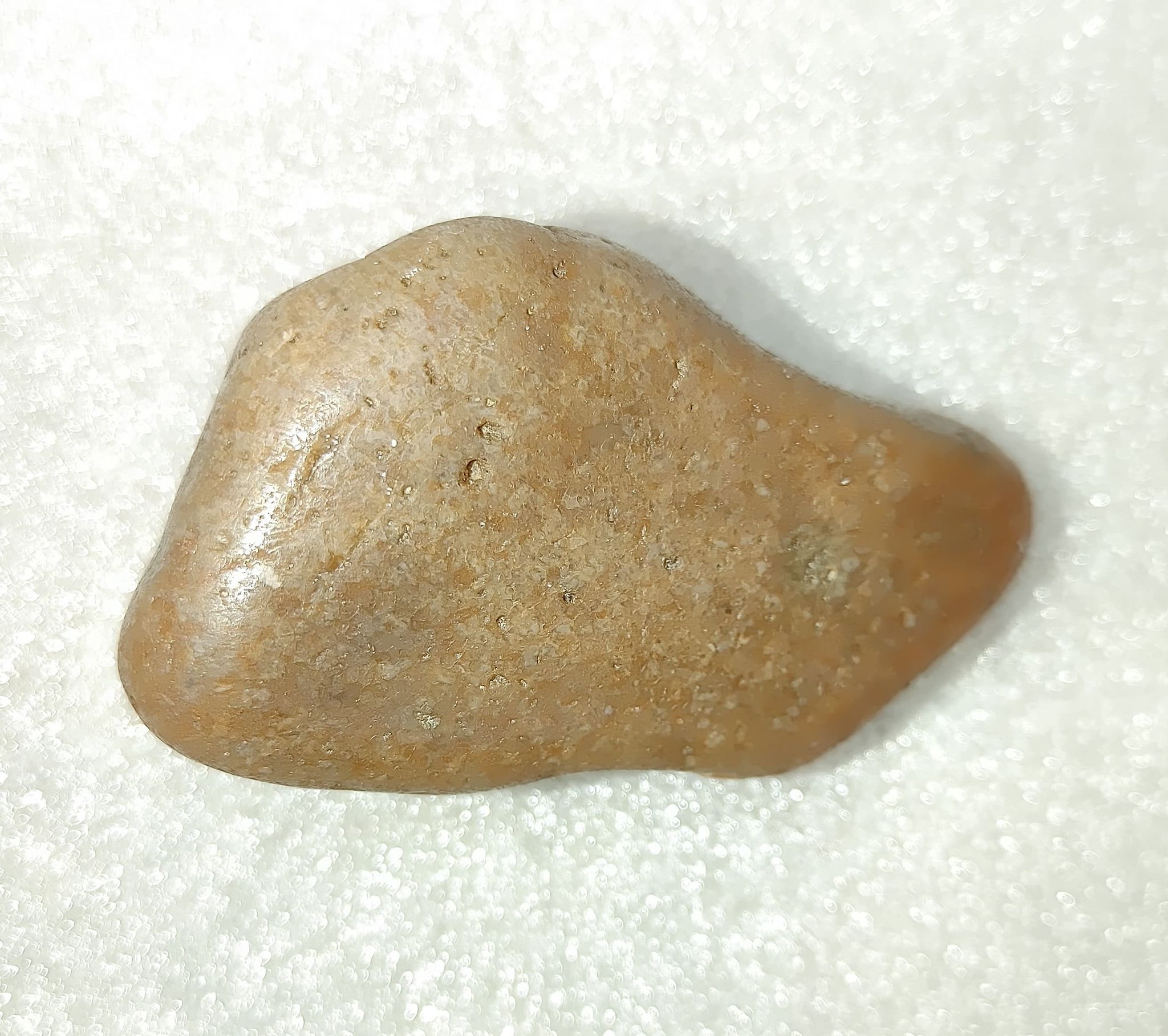 Large Dinosaur Gastrolith “Gizzard Stone” 7 Fossils for Sale