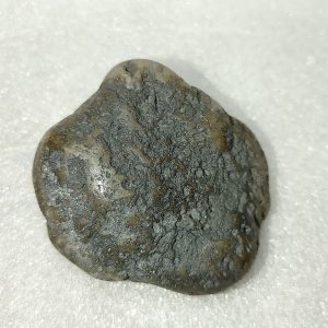 Large Dinosaur Gastrolith “Gizzard Stone” #8