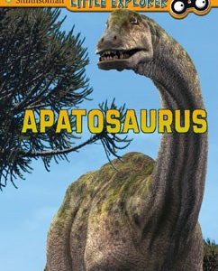 Little Explorer – Apatosaurus