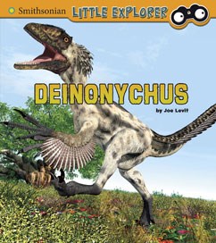 Little Explorer – Deinonychus For Sale