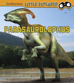 Little Explorer – Parasaurolophus