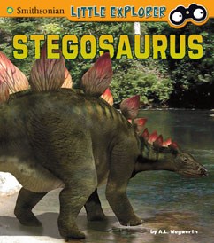 Little Explorer – Stegosaurus