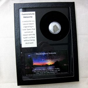 Muonionalusta Meteorite Frame For Sale #2