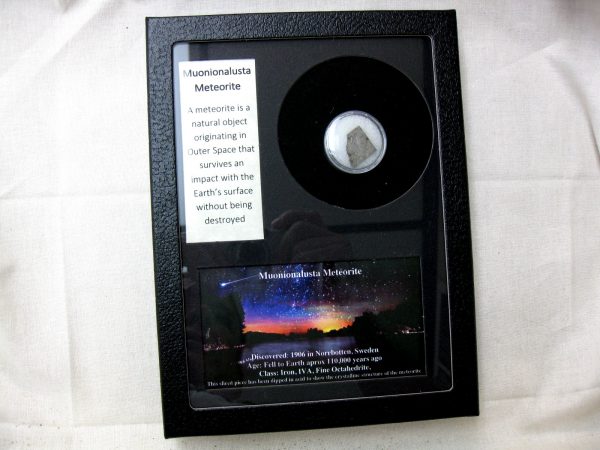 Muonionalusta Meteorite Frame For Sale #2