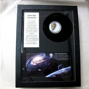 NWA #869 Meteorite Frame For Sale #1